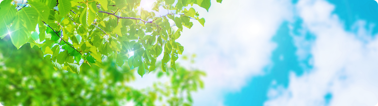 だれもが幸せに。